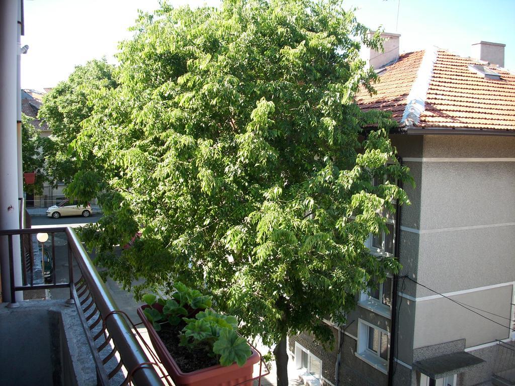 Georgievi Guest House Pomorie Extérieur photo